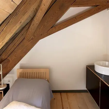 Alte Scheune Apartment Schopfheim