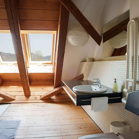 Apartment Alte Scheune Schopfheim