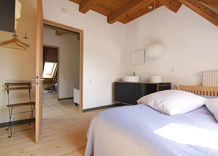 Alte Scheune Appartement Schopfheim